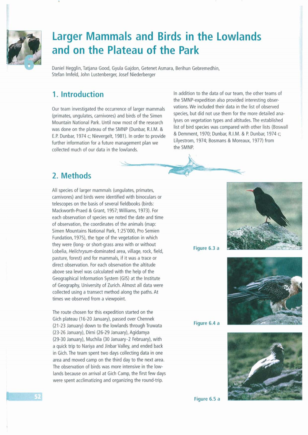 Larger Mammals and Birds in the Lowlands and on the Plateau of the Park