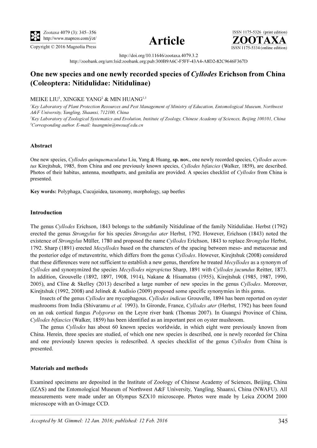 One New Species and One Newly Recorded Species of Cyllodes Erichson from China (Coleoptera: Nitidulidae: Nitidulinae)