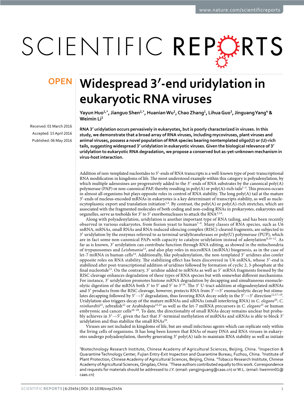 End Uridylation in Eukaryotic RNA Viruses