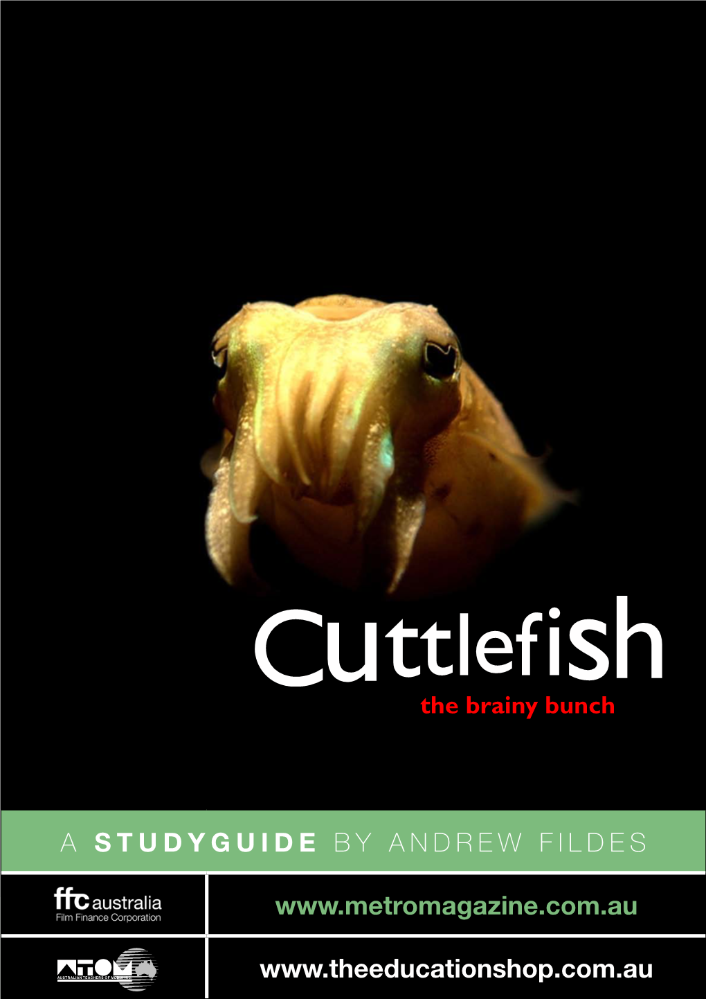 A Studyguide by Andrew Fildes