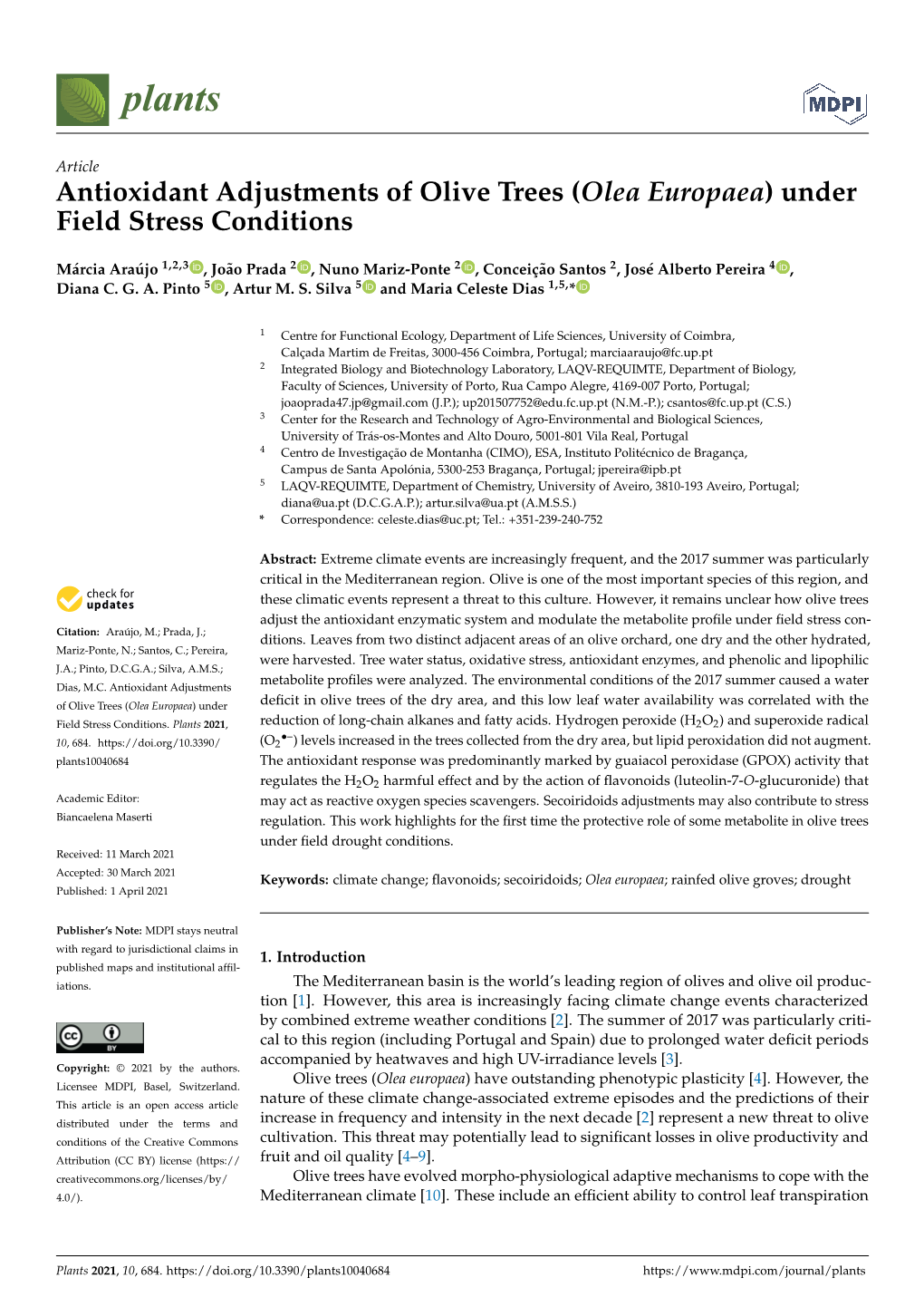 Olea Europaea) Under Field Stress Conditions