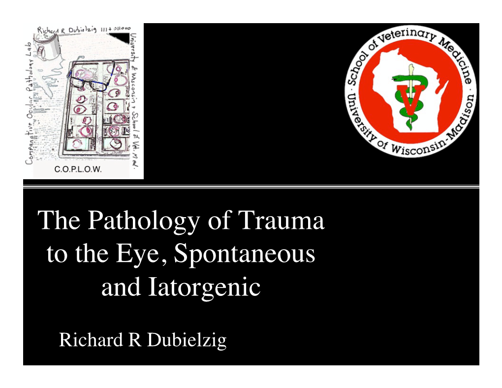 The Pathology of Trauma to the Eye, Spontaneous and Iatorgenic!