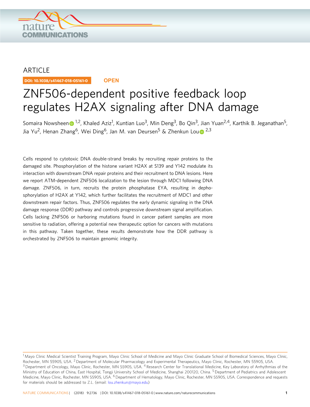 ZNF506-Dependent Positive Feedback Loop Regulates H2AX Signaling After DNA Damage