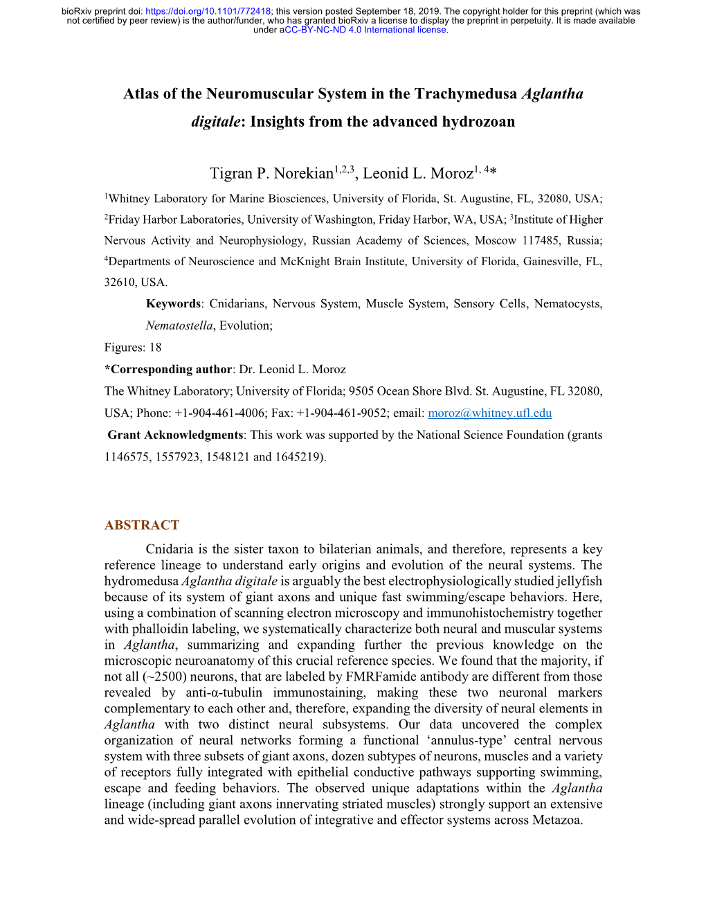 Atlas of the Neuromuscular System in the Trachymedusa Aglantha Digitale: Insights from the Advanced Hydrozoan