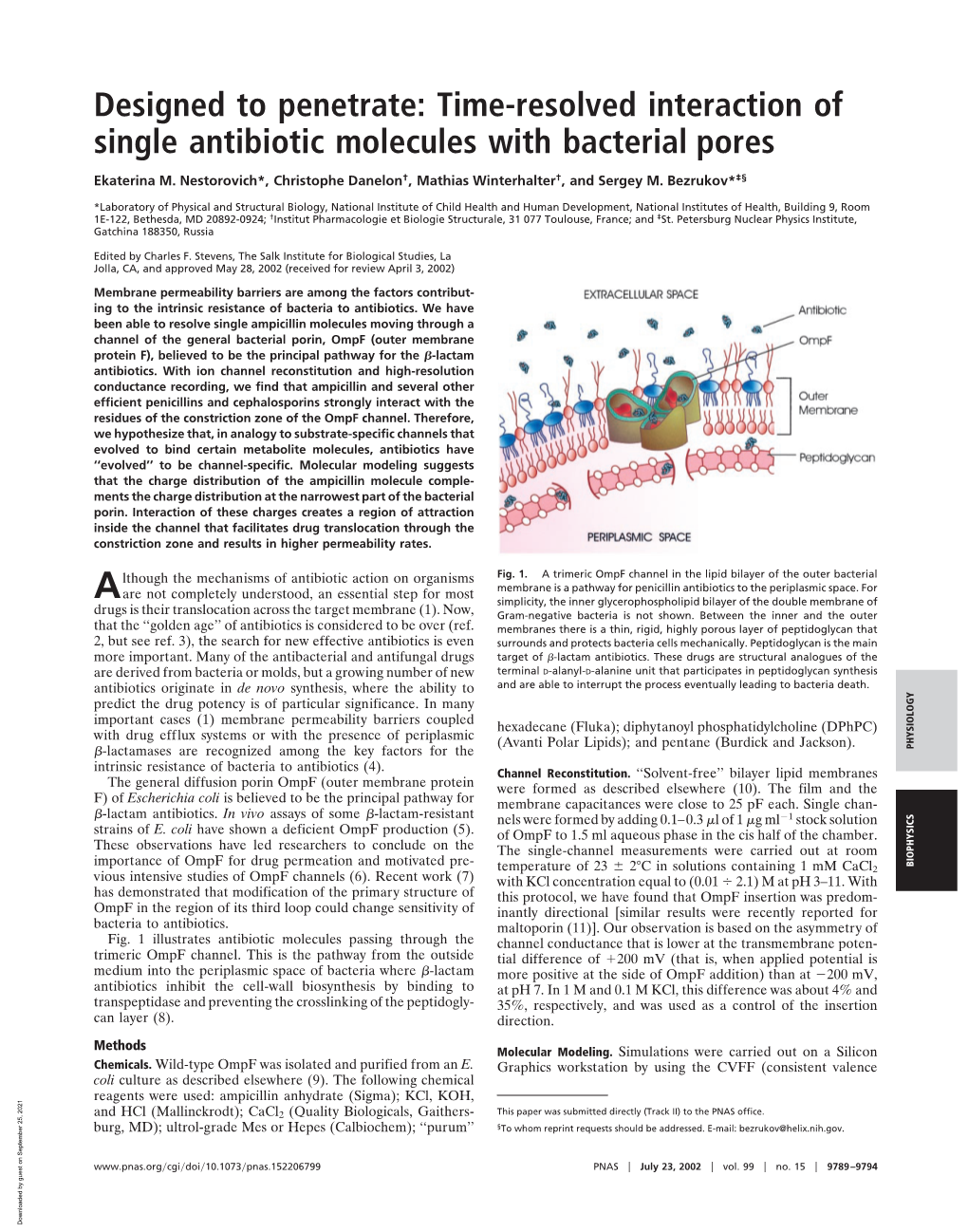 Time-Resolved Interaction of Single Antibiotic Molecules with Bacterial Pores