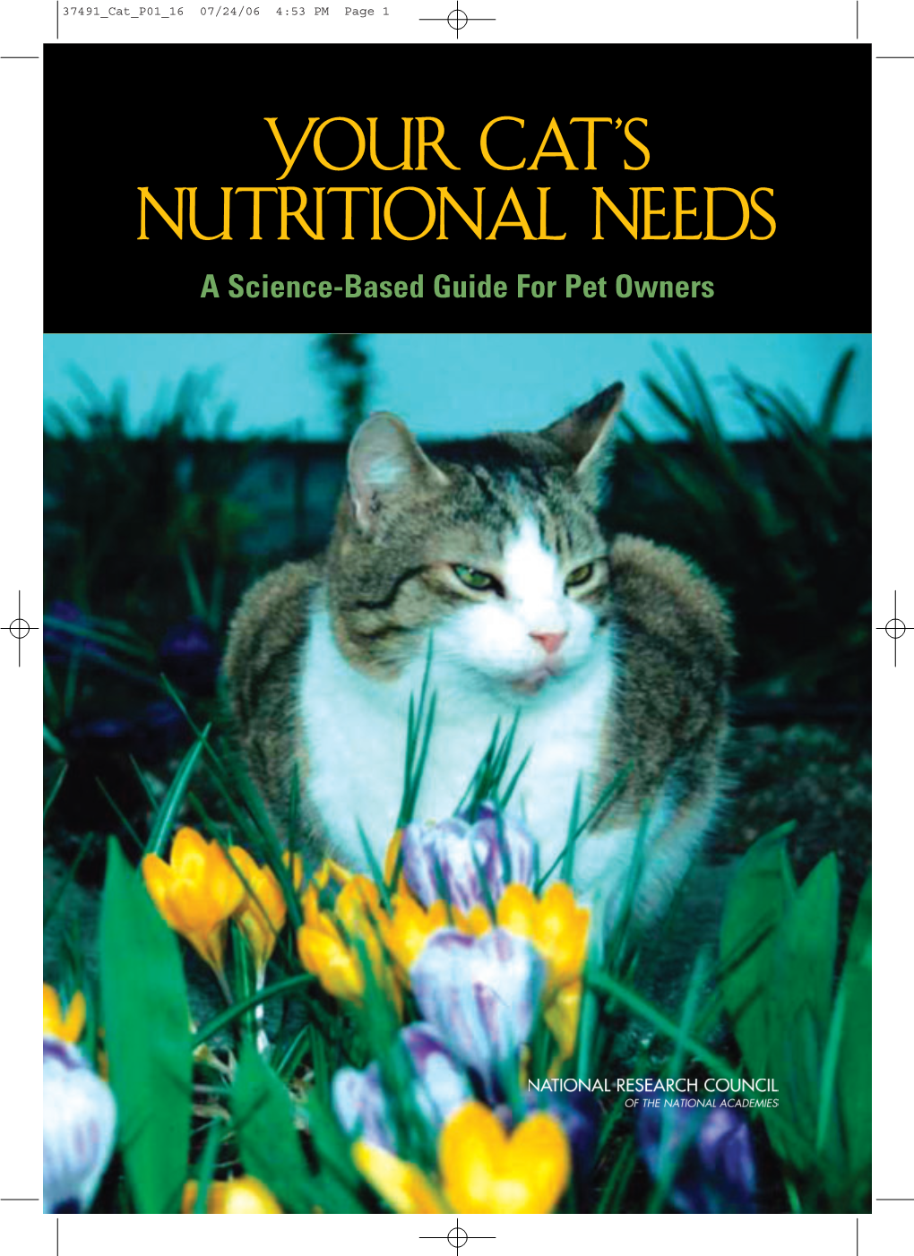 Your Cat's Nutritional Needs