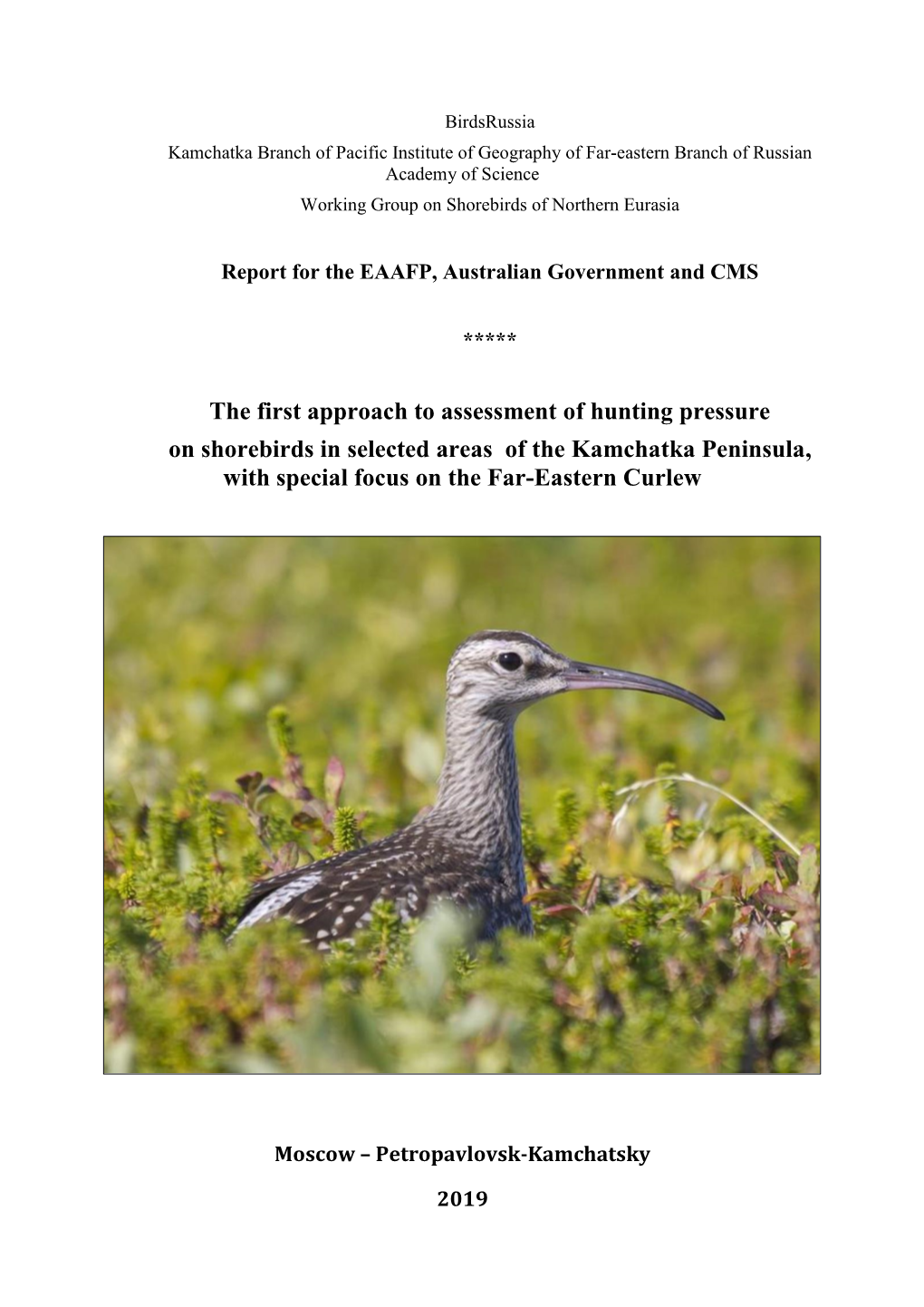 Birdsrussia Report on Shorebird Hunting 2019