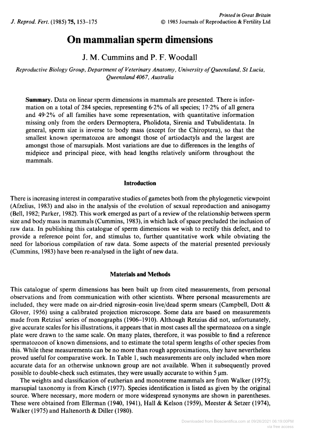 On Mammalian Sperm Dimensions J