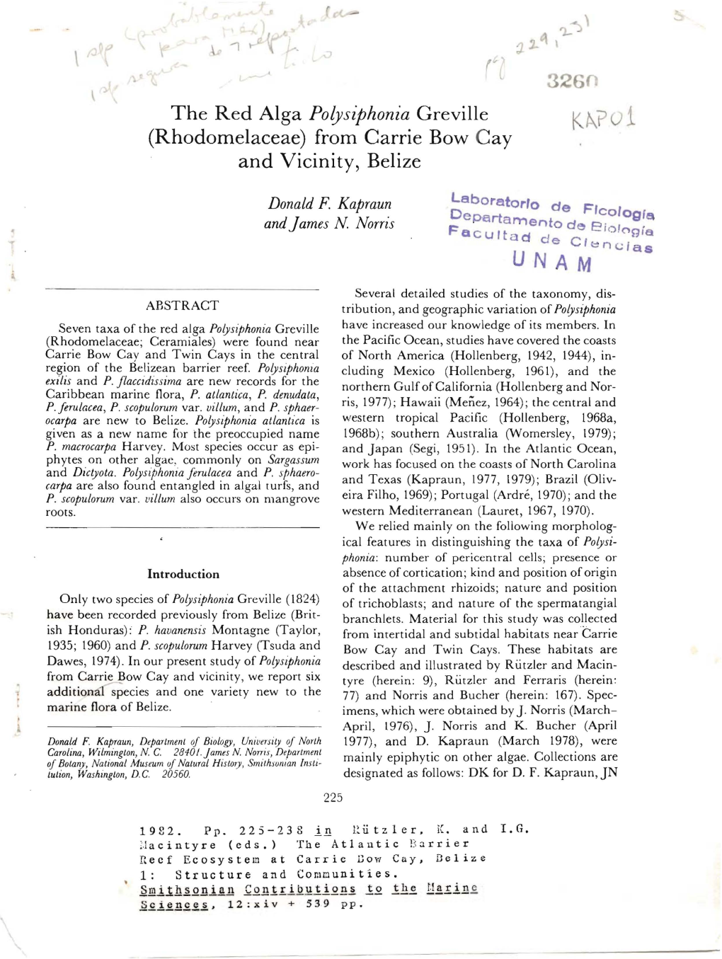 K "Put (Rhodomelaceae) from Carrie Bow Cay and Vicinity, Belize