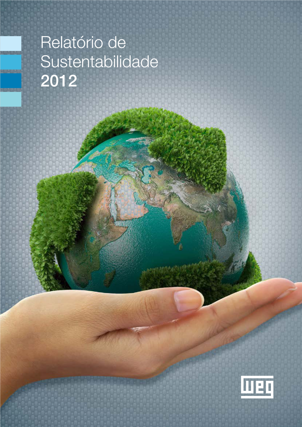 Relatório De Sustentabilidade 2012