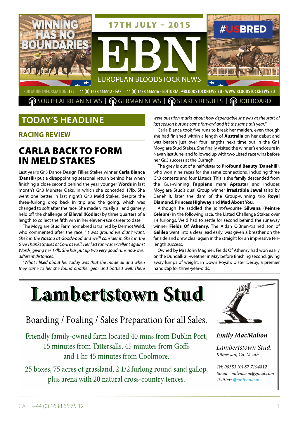 Lambertstown Studstudstud Boarding / Foaling / Sales Preparation for All Sales