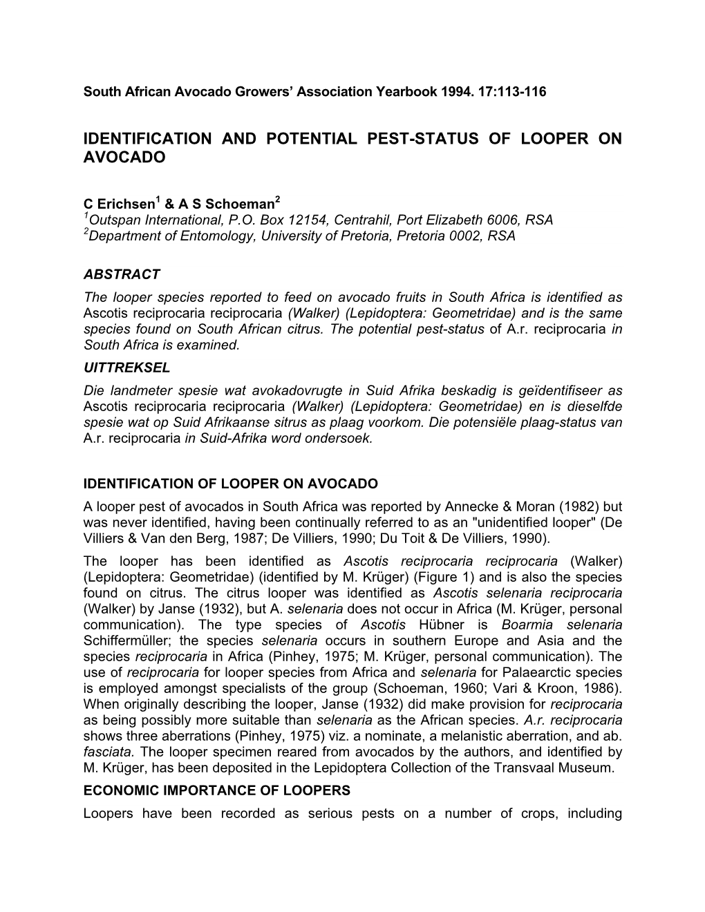 Identification and Potential Pest-Status of Looper on Avocado