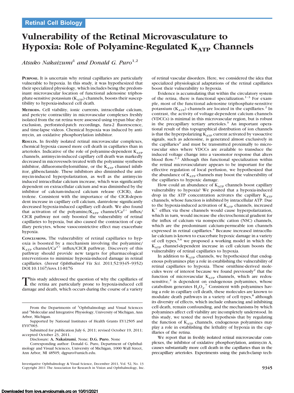 Role of Polyamine-Regulated KATP Channels