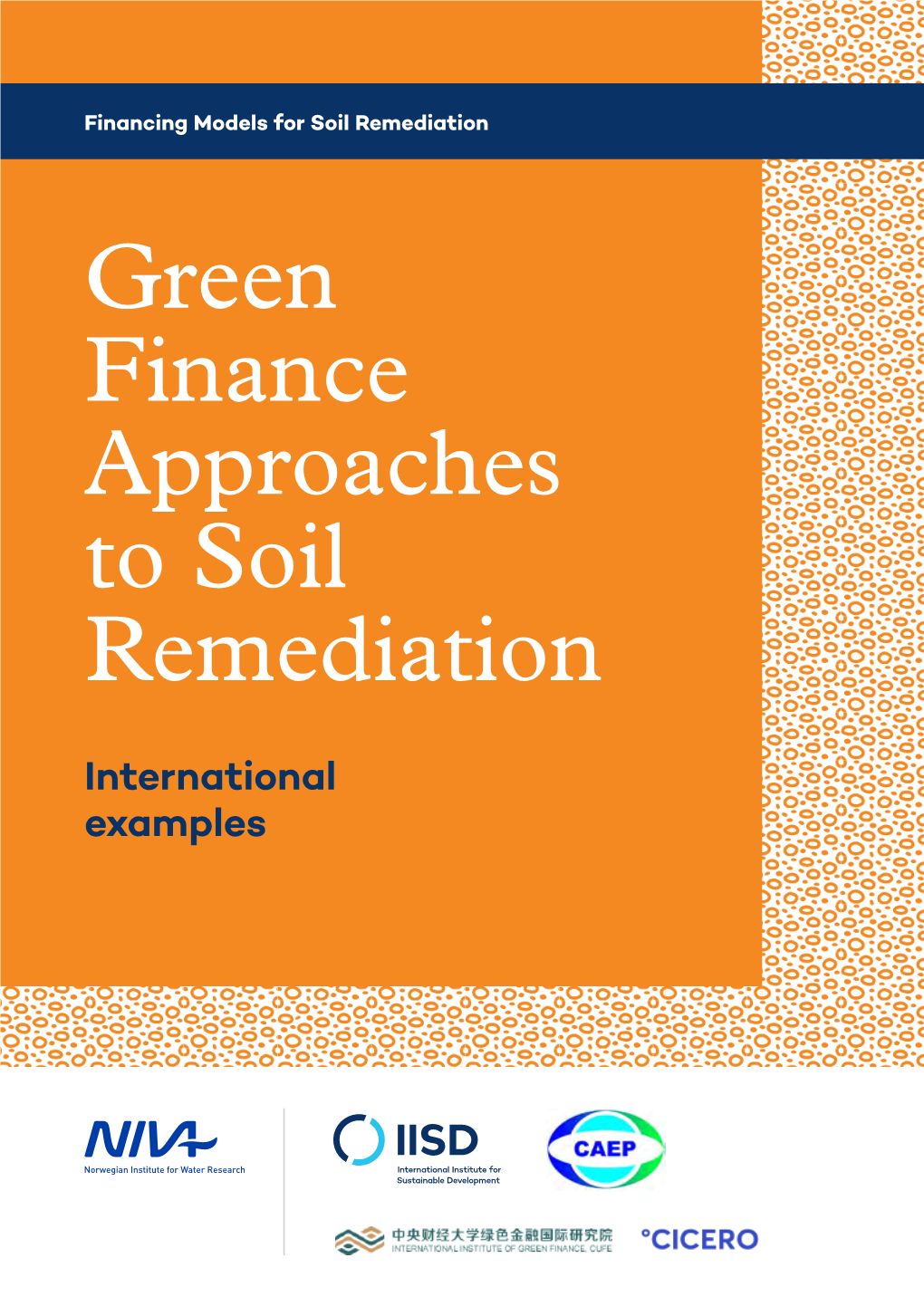 Green Finance Approaches to Soil Remediation: International Examples