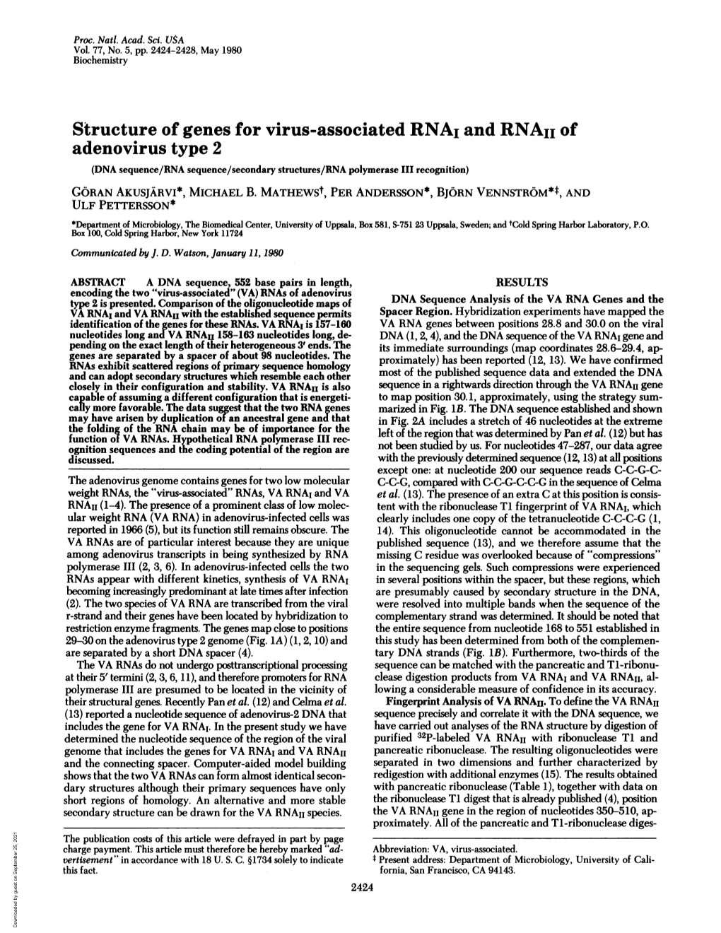 Adenovirus Type 2 (DNA Sequence/RNA Sequence/Secondary Structures/RNA Polymerase III Recognition) GORAN AKUSJARVI*, MICHAEL B