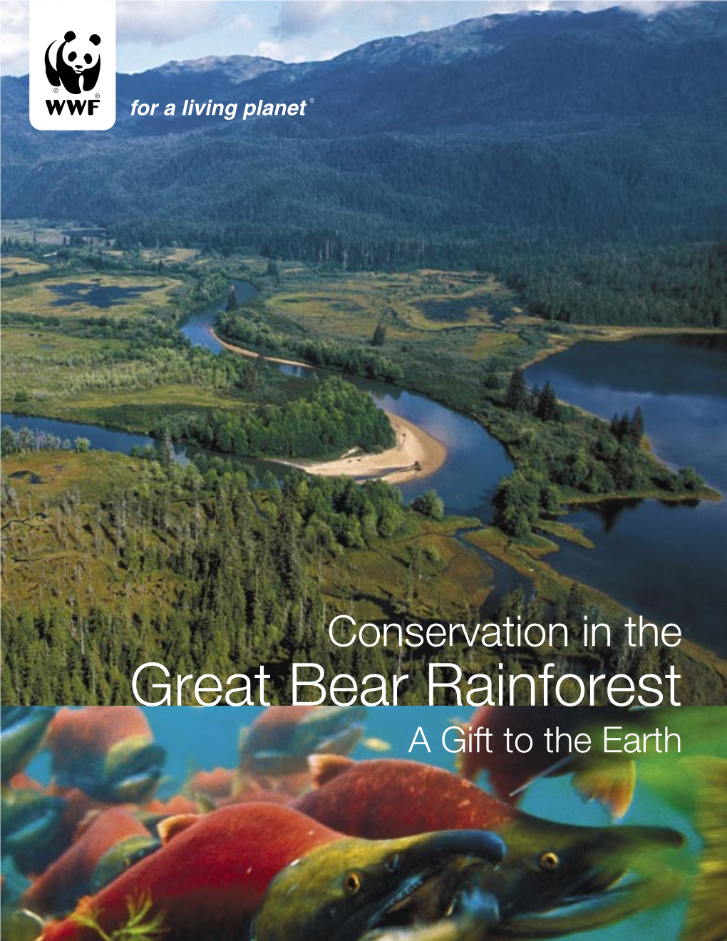 Great Bear Rainforest