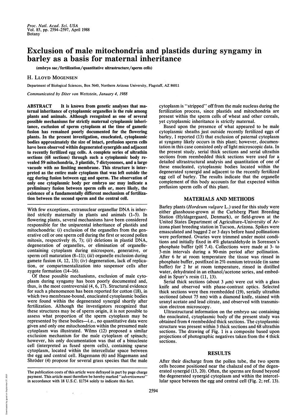 Exclusion of Male Mitochondria and Plastids During Syngamy in Barley