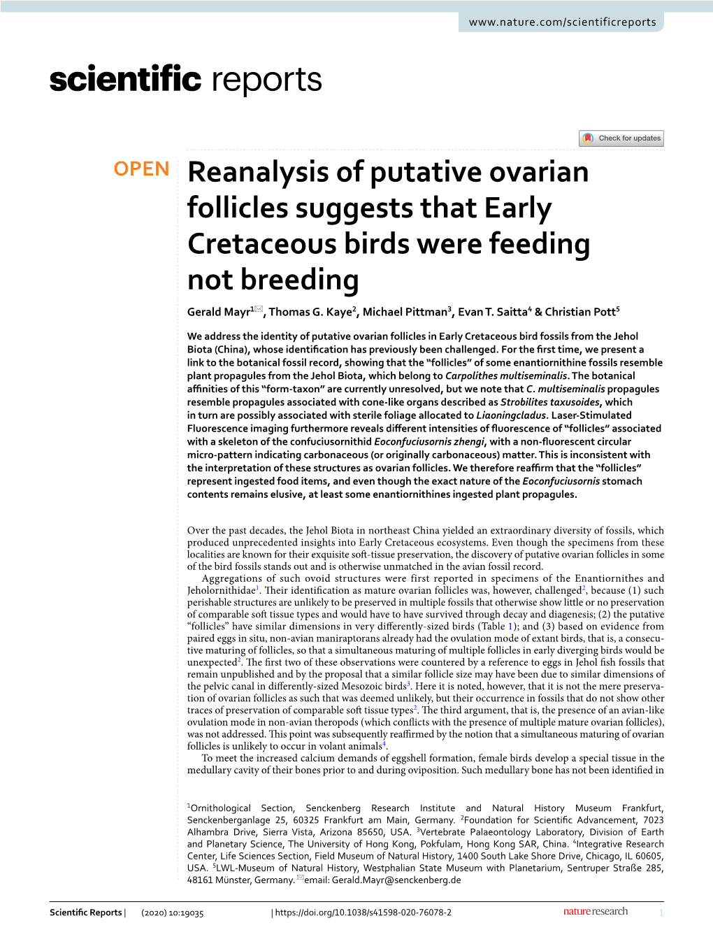 Reanalysis of Putative Ovarian Follicles Suggests That Early Cretaceous Birds Were Feeding Not Breeding Gerald Mayr1*, Thomas G