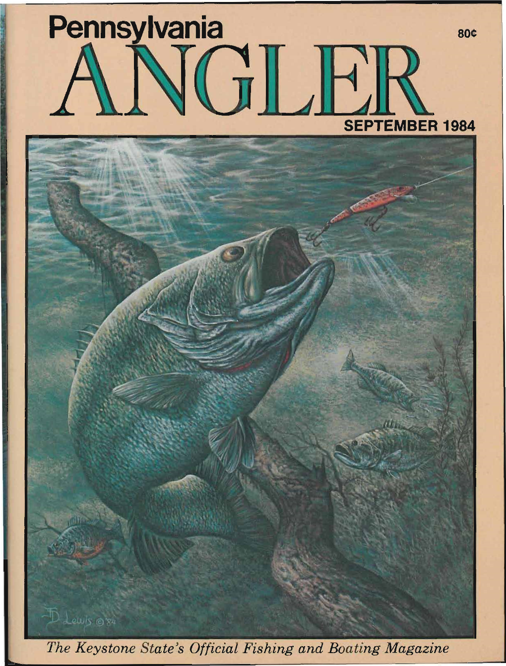 Angle September 1984