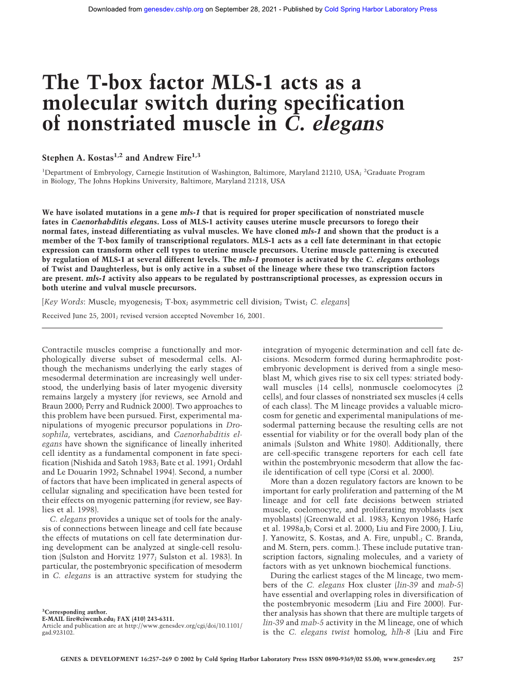 The T-Box Factor MLS-1 Acts As a Molecular Switch During Specification of Nonstriated Muscle in C