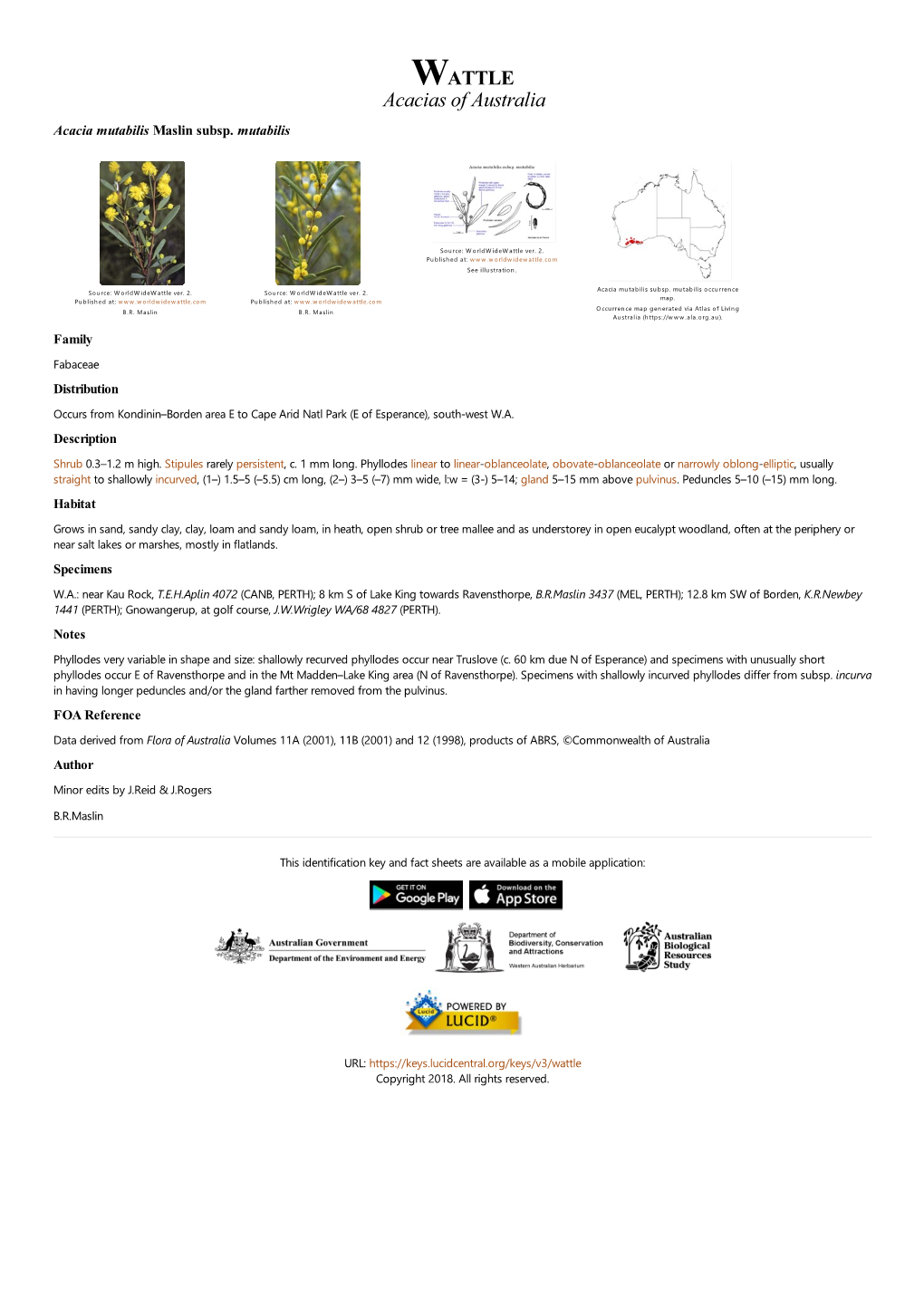 Acacia Mutabilis Subsp. Mutabilis Occurrence Published At: W W W .W Orldw Idew Attle.Com Published At: W W W .W Orldw Idew Attle.Com Map
