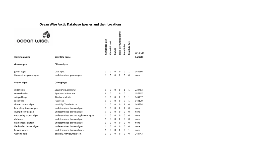 Dive Log Search