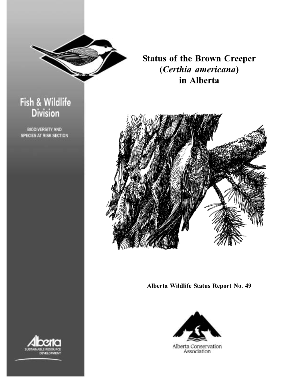 Status of the Brown Creeper (Certhia Americana) in Alberta