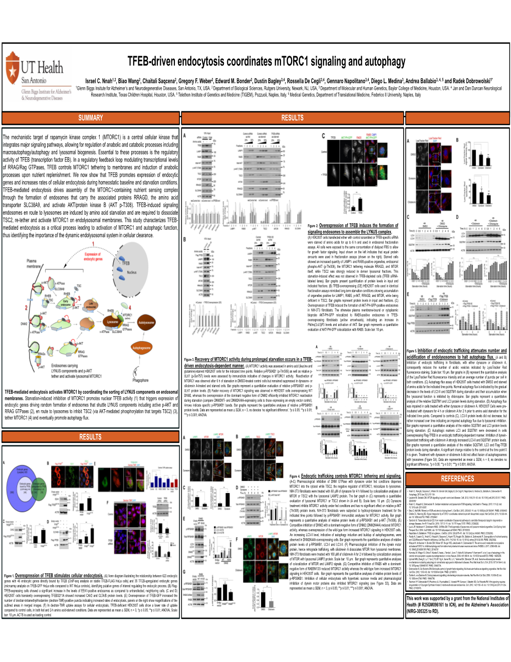 TFEB-Driven Endocytosis Coordinates Mtorc1 Signaling and Autophagy