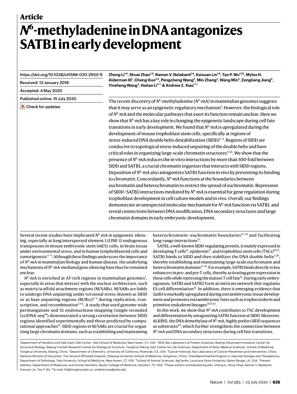 N6-Methyladenine in DNA Antagonizes SATB1 in Early Development