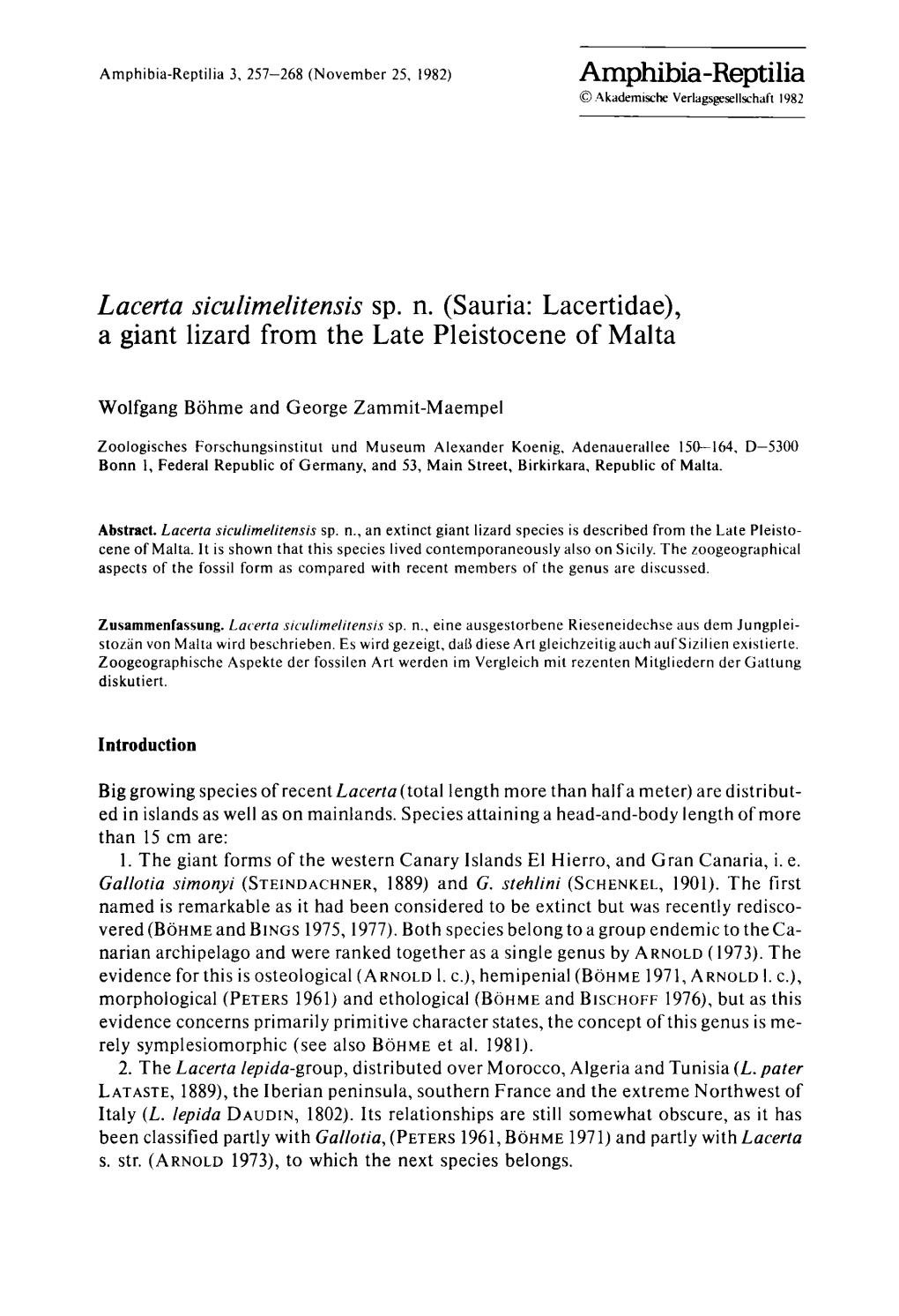 Lacerta Siculimelitensis Sp. N. (Sauria: Lacertidae), a Giant Lizard from the Late Pleistocene of Malta