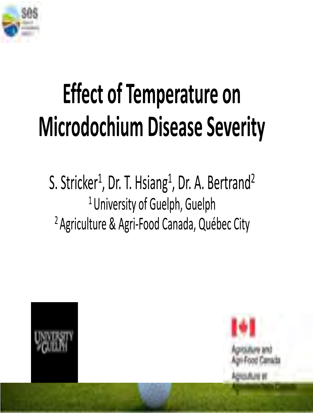 Effect of Temperature on Microdochium Disease Severity