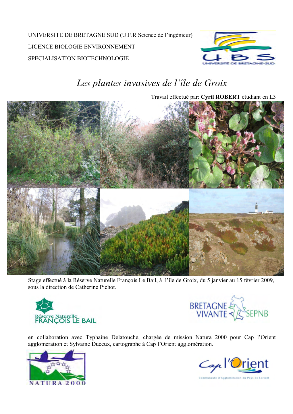 Les Plantes Invasives De L'île De Groix