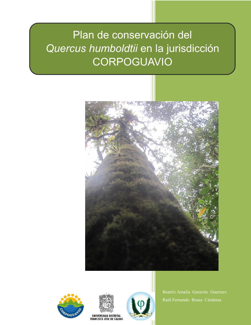 Plan De Conservación Del Quercus Humboldtii En La Jurisdicción CORPOGUAVIO