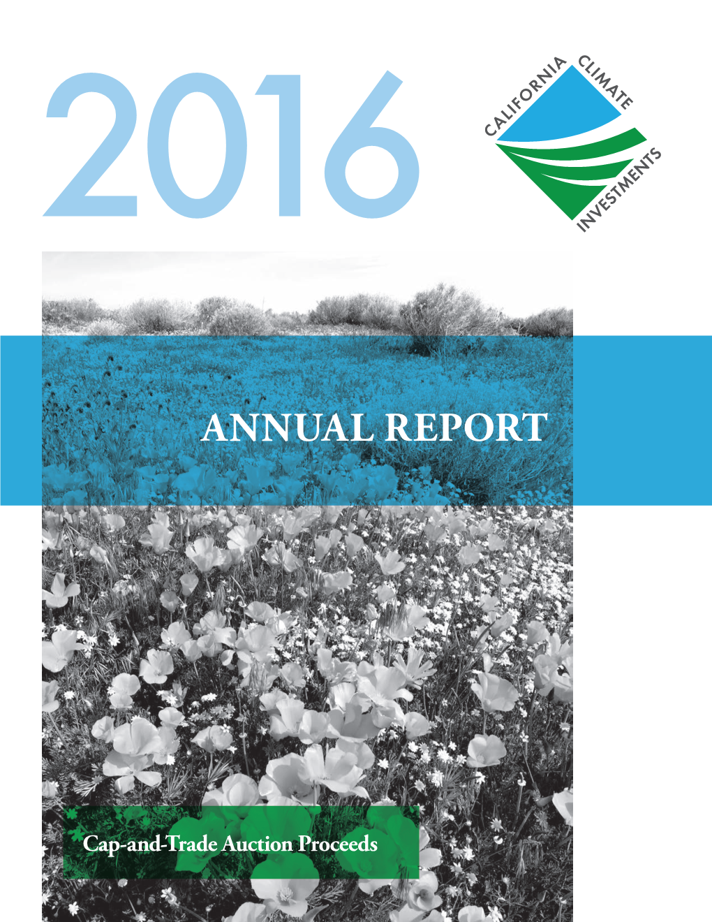 Annual Report