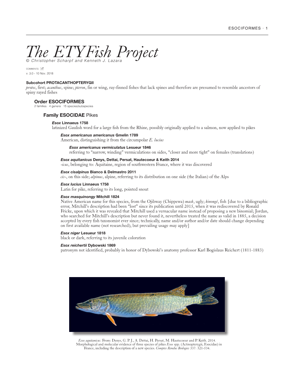 The Etyfish Project © Christopher Scharpf and Kenneth J