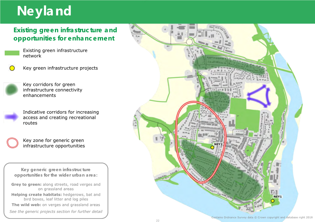 Green Infrastructure Action Plan