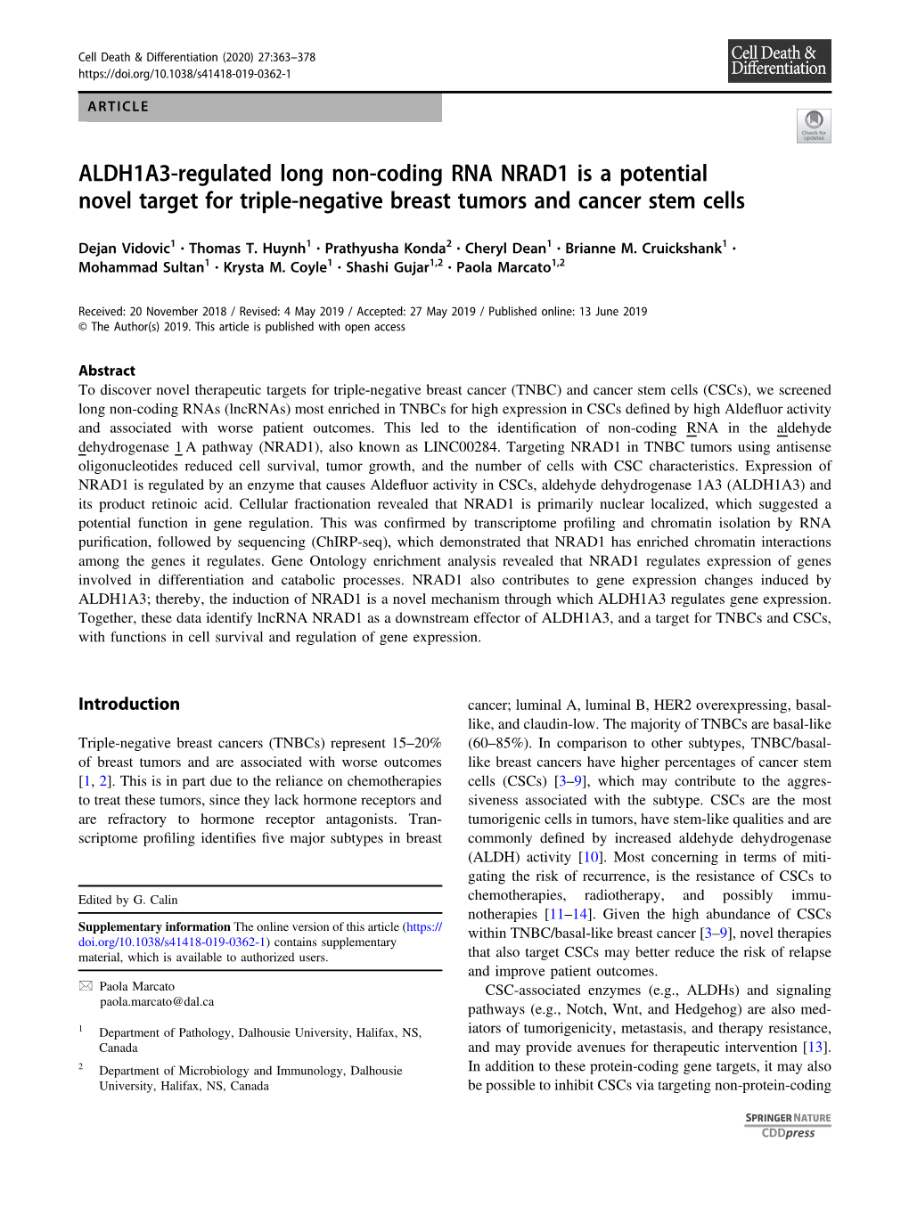 ALDH1A3-Regulated Long Non-Coding RNA NRAD1 Is a Potential Novel Target for Triple-Negative Breast Tumors and Cancer Stem Cells