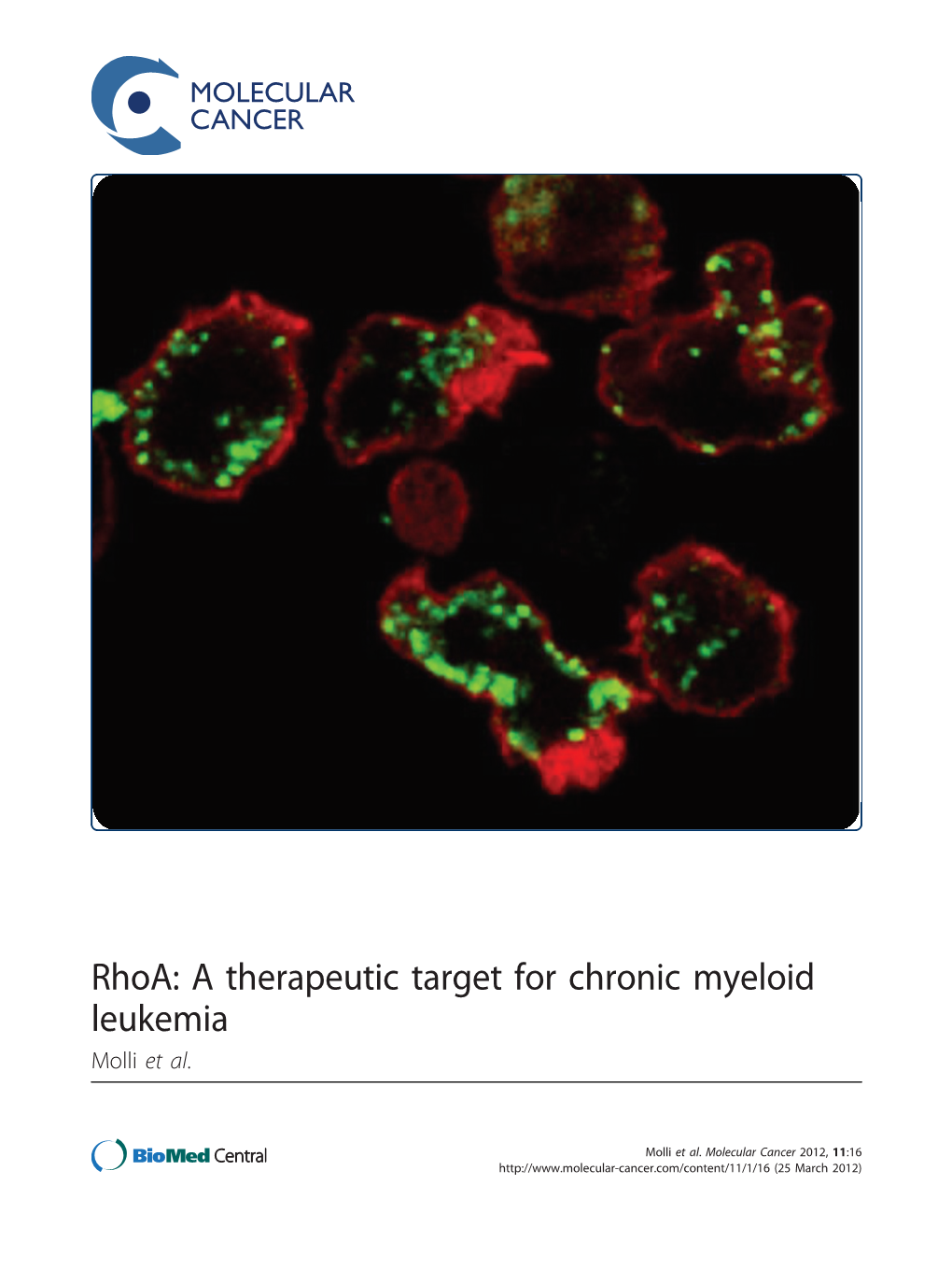 Rhoa: a Therapeutic Target for Chronic Myeloid Leukemia Molli Et Al