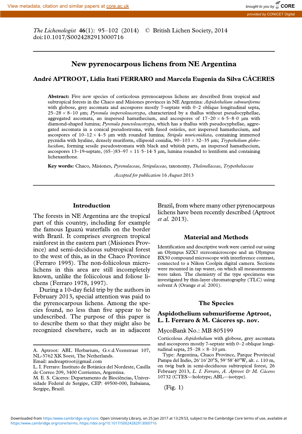 New Pyrenocarpous Lichens from NE Argentina