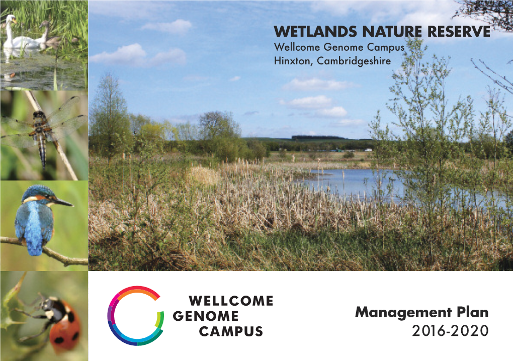 Download the Wetlands Leaflet