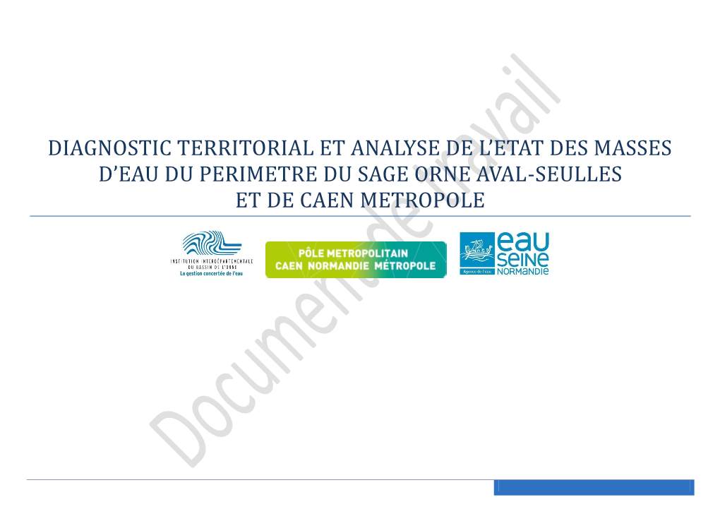 Diagnostic Territorial Et Analyse De L'etat Des