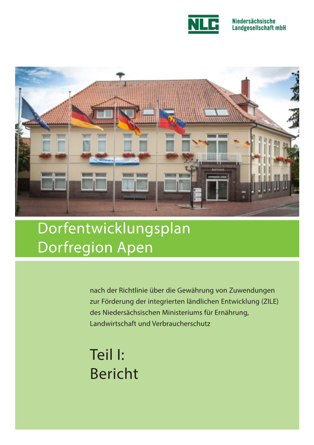 Dorfentwicklungsplan Dorfregion Apen Teil I: Bericht