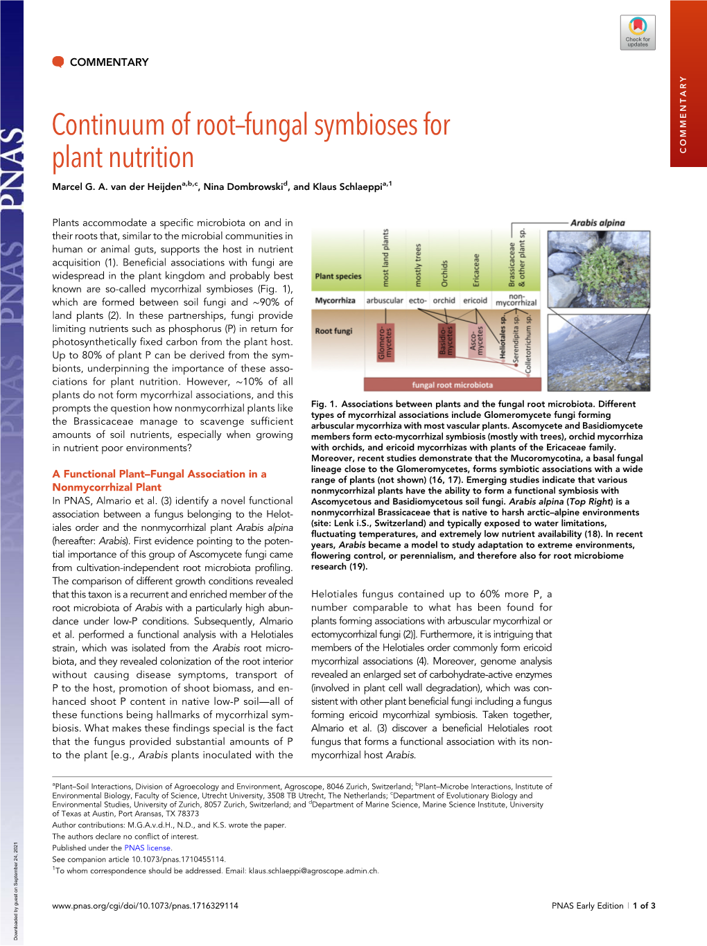 Continuum of Root–Fungal Symbioses for Plant Nutrition COMMENTARY Marcel G