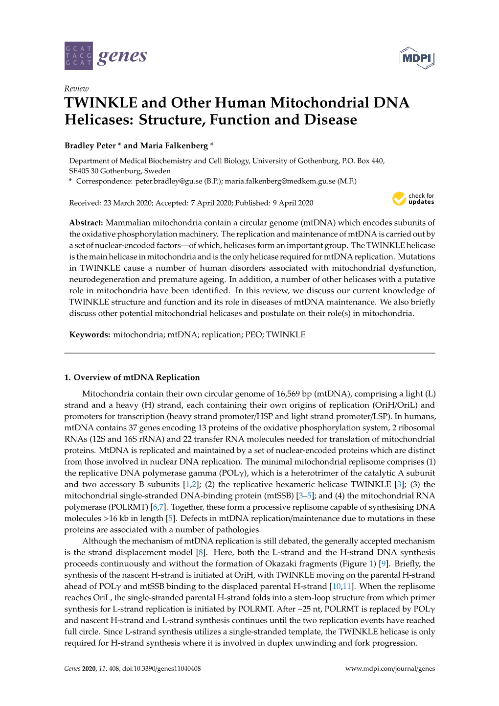 TWINKLE and Other Human Mitochondrial DNA Helicases: Structure, Function and Disease