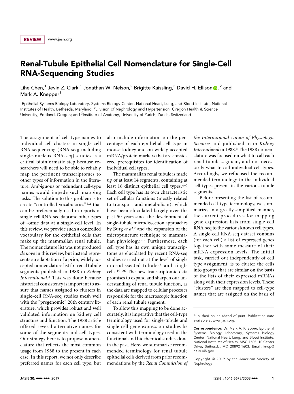 Renal-Tubule Epithelial Cell Nomenclature for Single-Cell RNA-Sequencing Studies