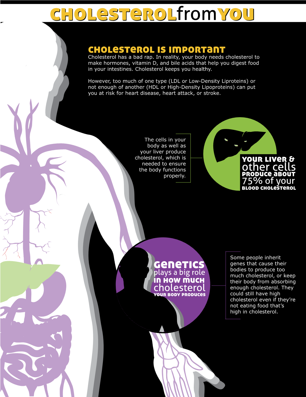 Cholesterol and Statins