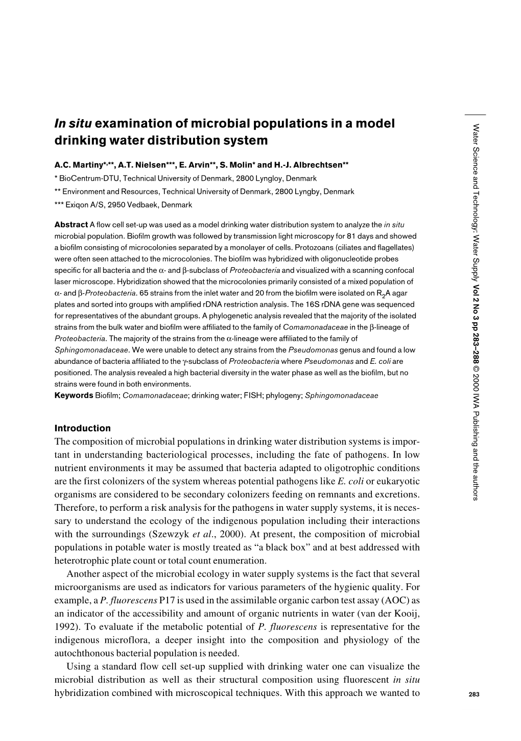 In Situ Examination of Microbial Populations in a Model Drinking