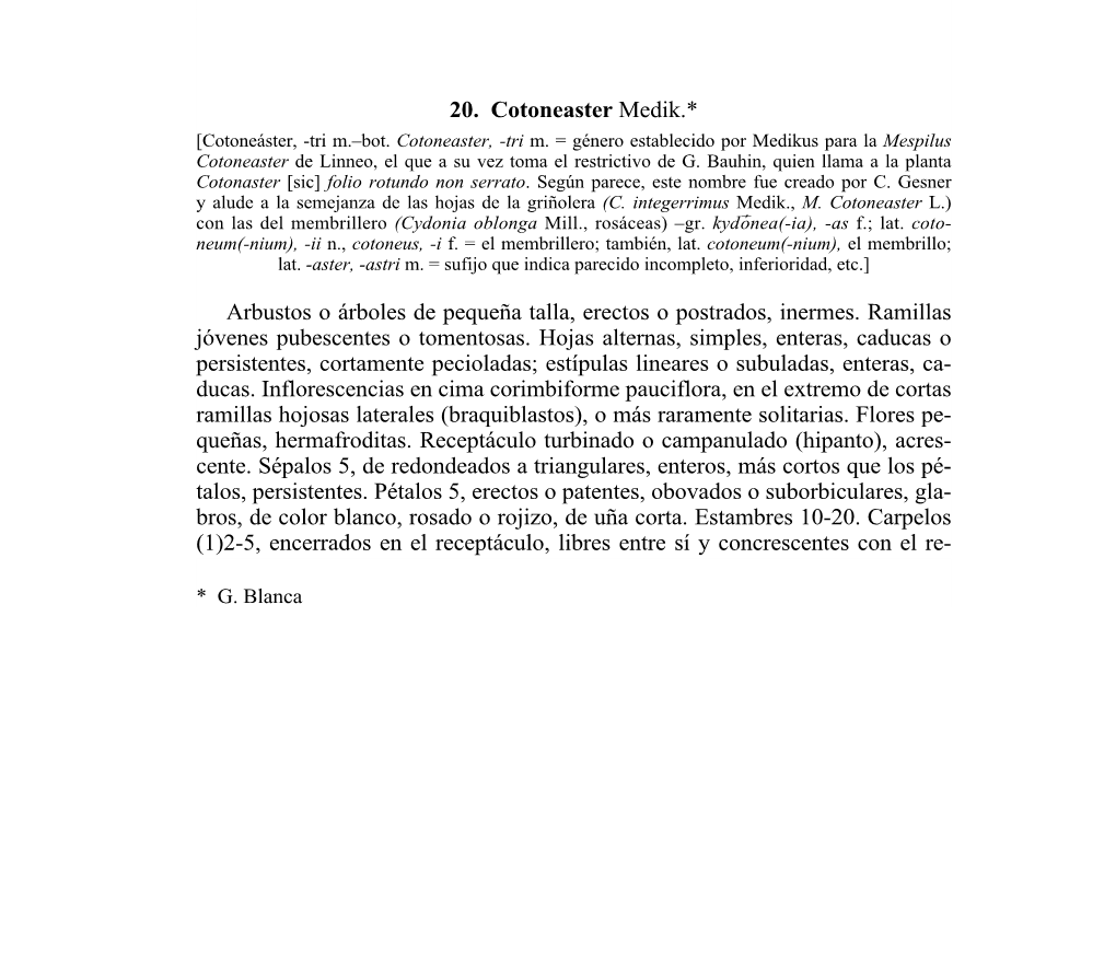 Descripción (Pdf)