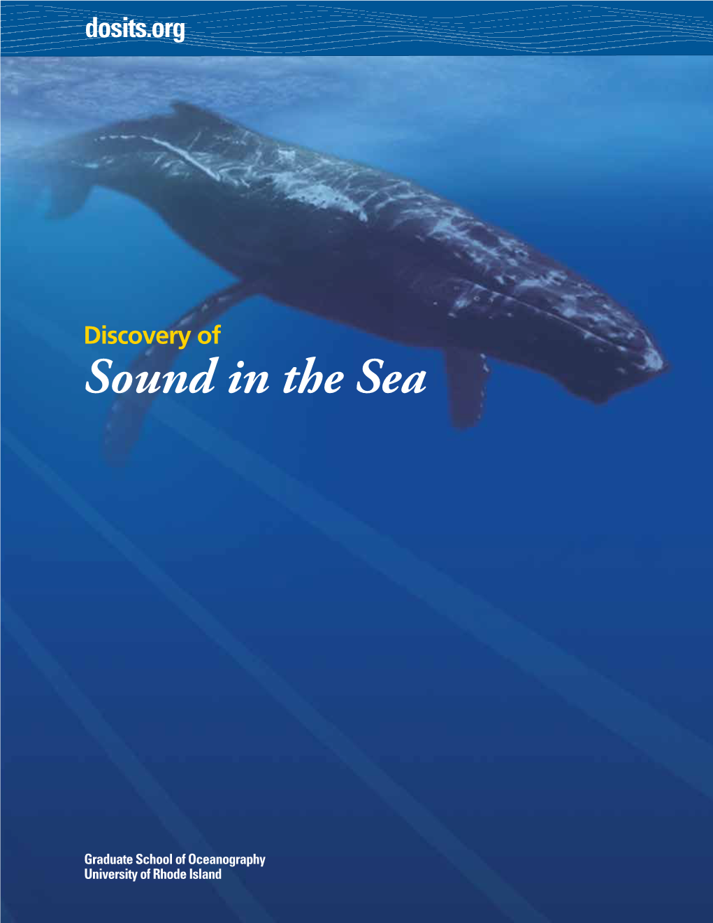 Discovery of Sound in the Sea