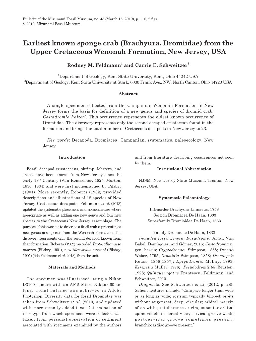 Earliest Known Sponge Crab (Brachyura, Dromiidae) from the Upper Cretaceous Wenonah Formation, New Jersey, USA